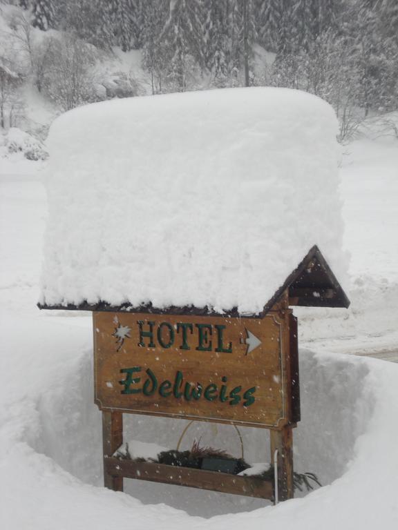 Hotel Edelweiss Val di Zoldo Exteriér fotografie